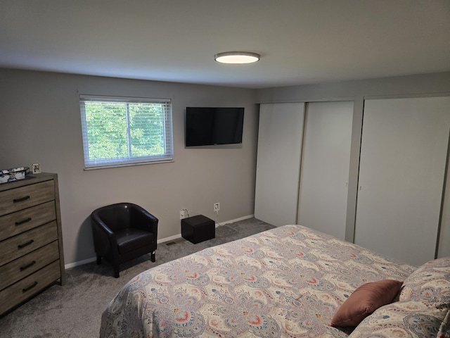 7013 Curtis Way Unit 7013, Florence, KY 41042 - bedroom with carpet floors and multiple closets