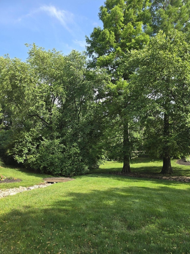 7013 Curtis Way Unit 7013, Florence, KY 41042 - view of grassy yard