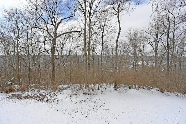 view of snow covered land