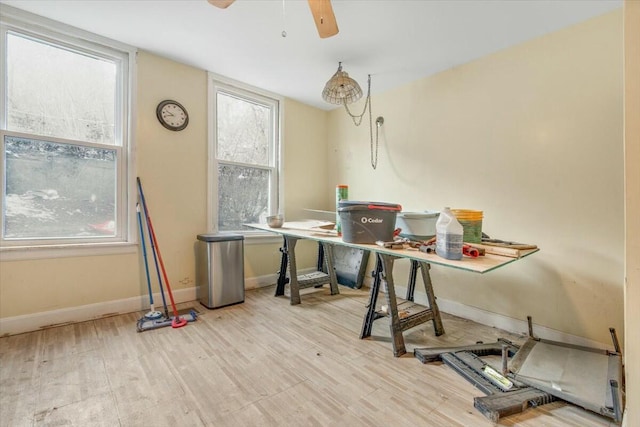 office featuring ceiling fan, plenty of natural light, light wood-style flooring, and baseboards