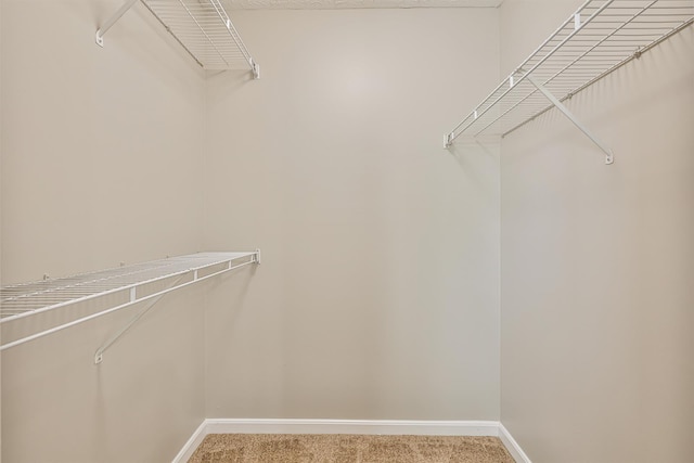 2041 Lafitte Ct, Union, KY 41091 - spacious closet with light colored carpet