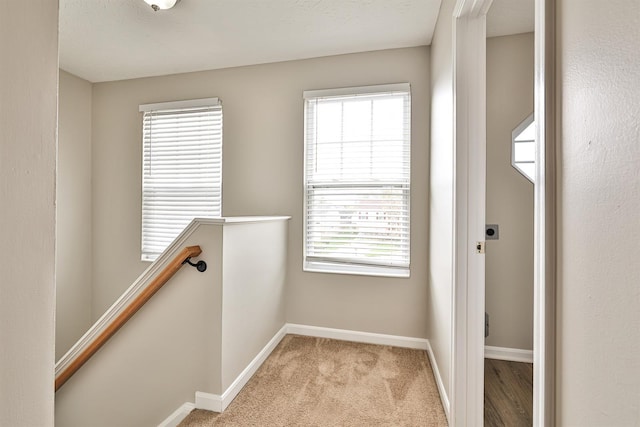 2041 Lafitte Ct, Union, KY 41091 - interior space featuring baseboards and carpet floors
