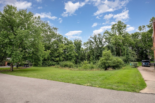 1051 Emerson Rd, Park Hills, KY 41011 - photo 3