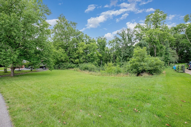 1051 Emerson Rd, Park Hills, KY 41011 - photo 2
