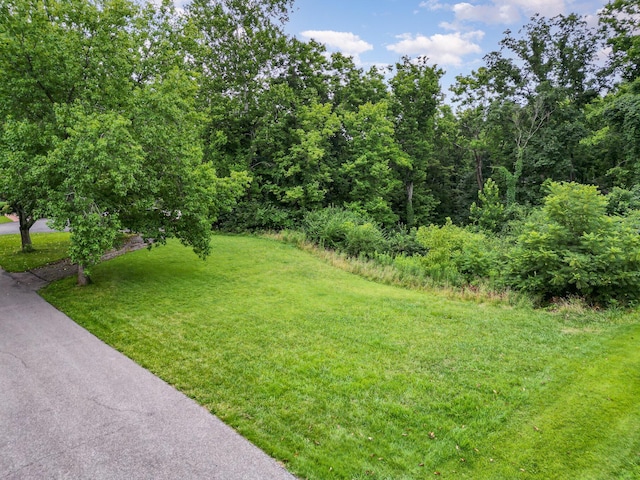 1051 Emerson Rd, Park Hills, KY 41011 - photo 1