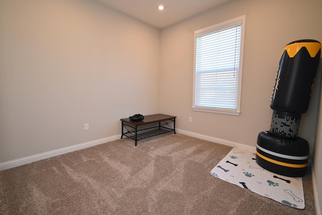 misc room featuring carpet floors, recessed lighting, and baseboards