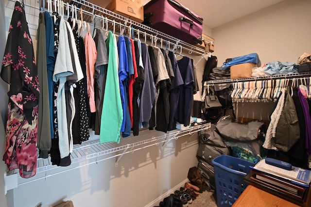 walk in closet with carpet floors