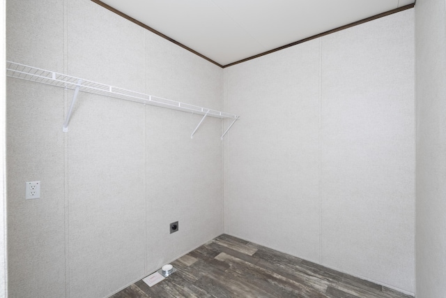 laundry room with laundry area, dark wood-style flooring, electric dryer hookup, and crown molding