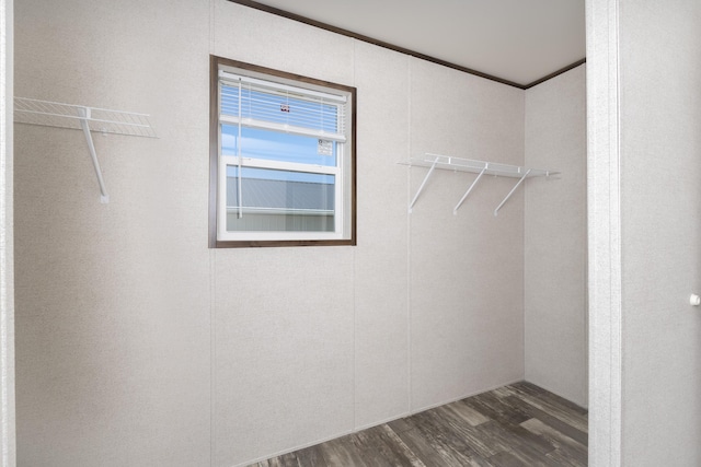 spacious closet with dark wood-type flooring