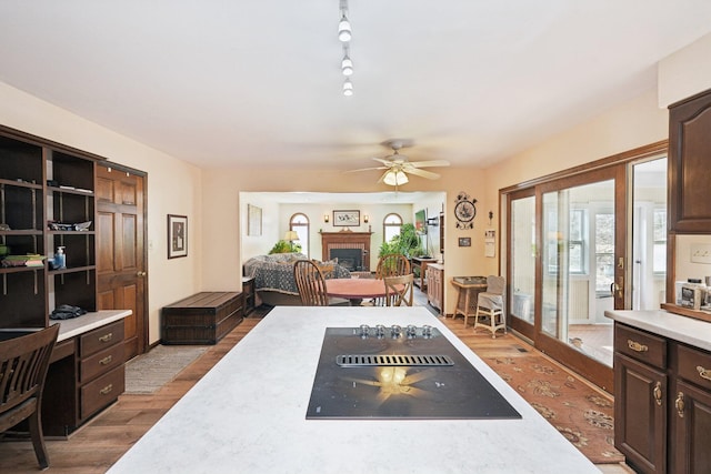 interior space with light wood-style flooring, a fireplace, light countertops, and dark brown cabinets