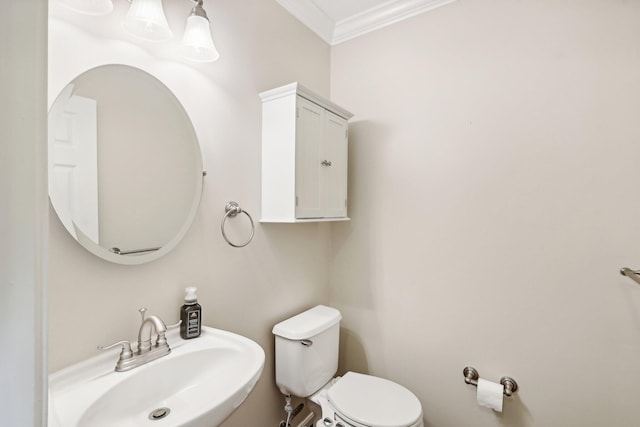 bathroom featuring ornamental molding, toilet, and a sink