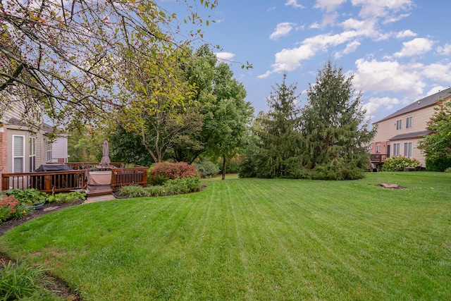 view of yard featuring a wooden deck