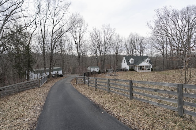 view of road with aphalt driveway