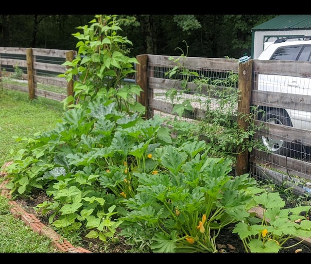 exterior space featuring a vegetable garden and fence