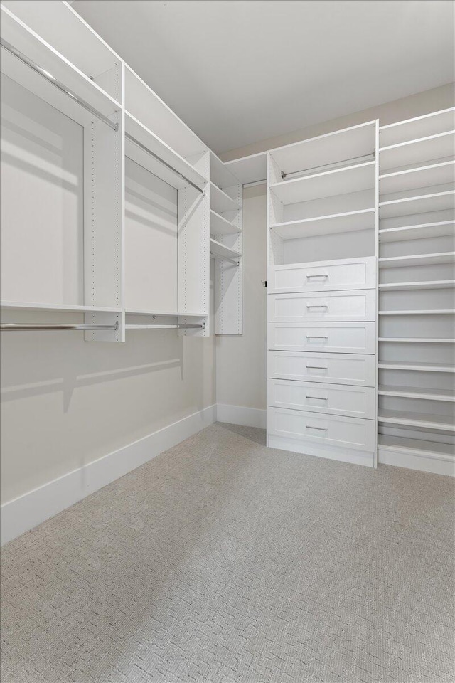 spacious closet featuring carpet flooring