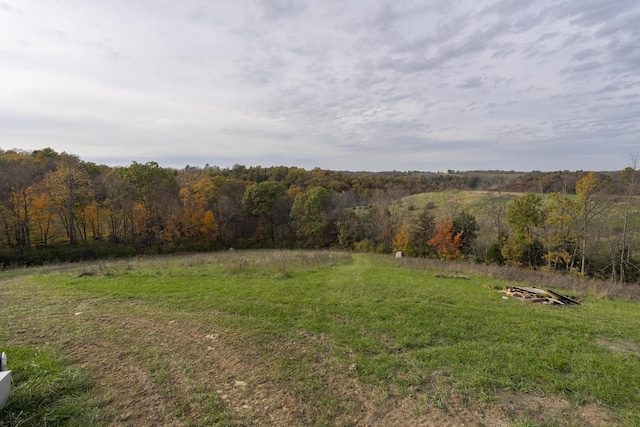 view of yard featuring a view of trees