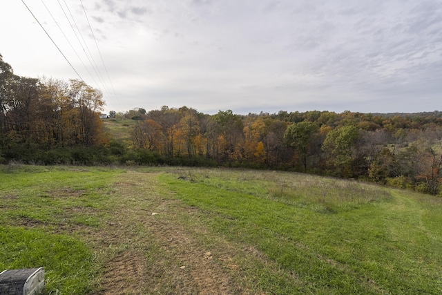 view of yard featuring a wooded view