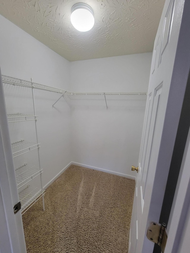 spacious closet featuring carpet floors