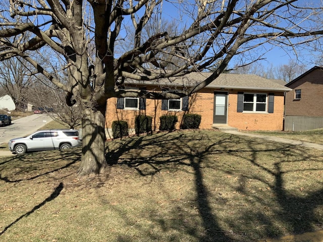 view of front of house with a shingled roof, a front yard, and brick siding