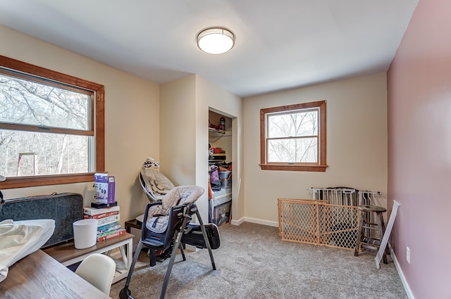 office featuring carpet floors and baseboards