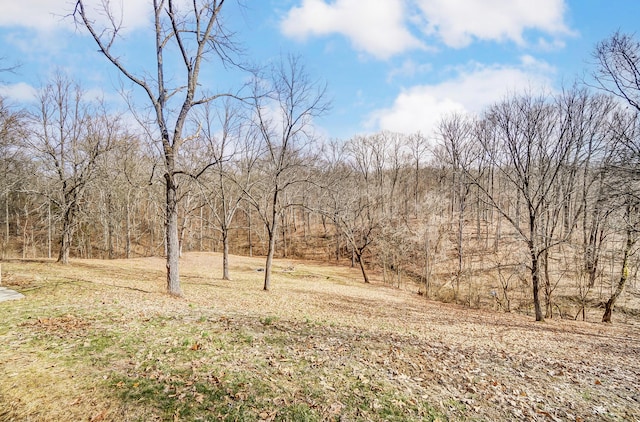 view of landscape featuring a wooded view