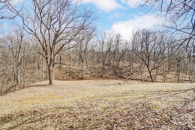 view of yard featuring a wooded view