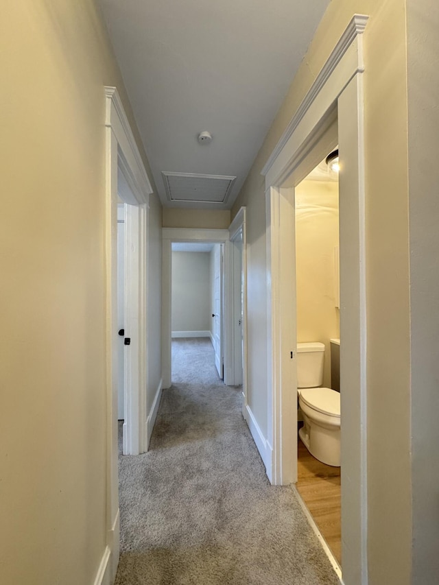 1307 Highway Ave, Covington, KY 41011 - corridor featuring carpet flooring and attic access