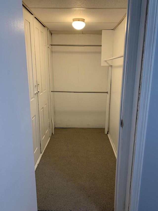 spacious closet with carpet flooring