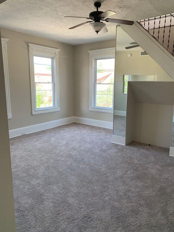 spare room featuring plenty of natural light, carpet flooring, and visible vents