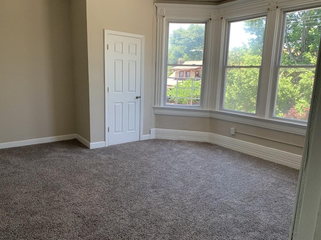 spare room with carpet floors and baseboards