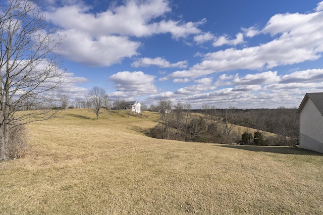 view of yard with a rural view