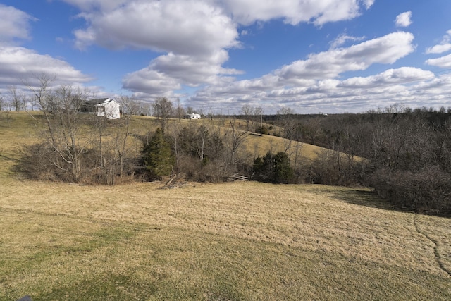 view of yard with a rural view