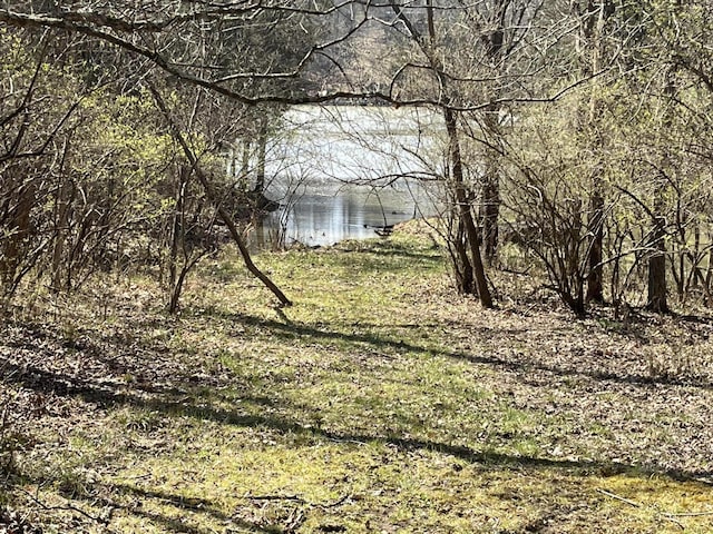 view of nature with a water view