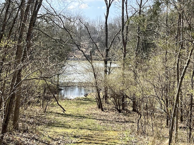 view of landscape featuring a water view and a wooded view