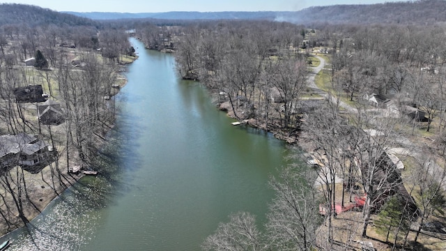 aerial view featuring a view of trees and a water view