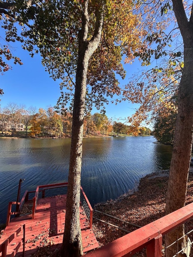 dock area with a water view