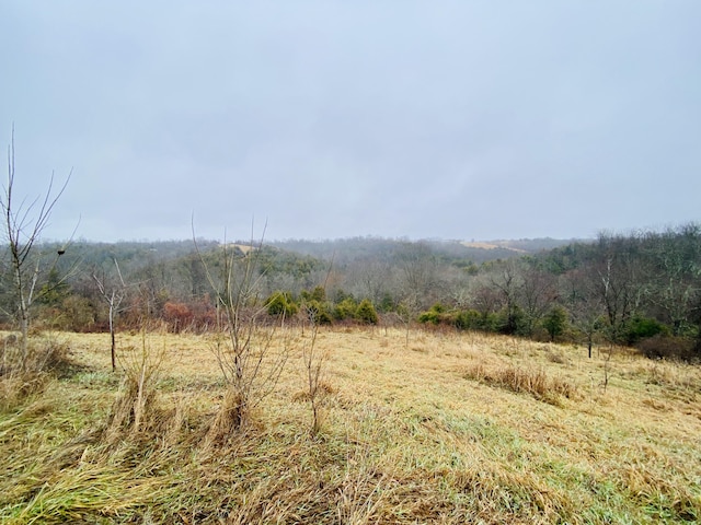 Listing photo 3 for 455 Mason Sipple Rd, Williamstown KY 41097