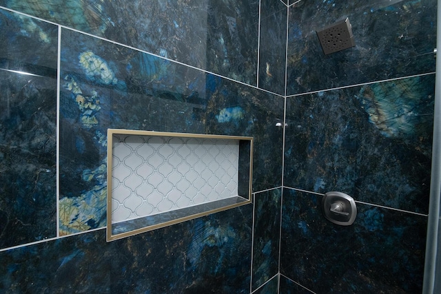 interior details featuring tiled shower