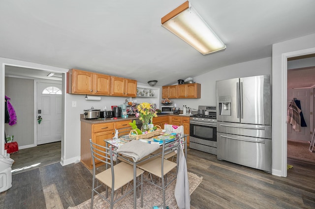 kitchen with stainless steel appliances, lofted ceiling, baseboards, and dark wood-style floors