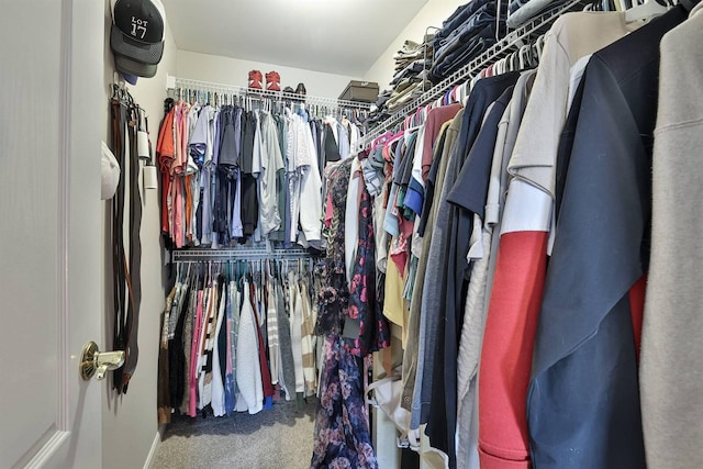 spacious closet with carpet