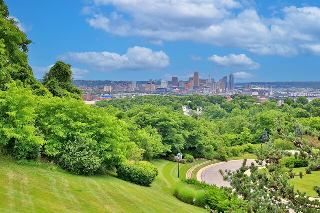 bird's eye view with a city view