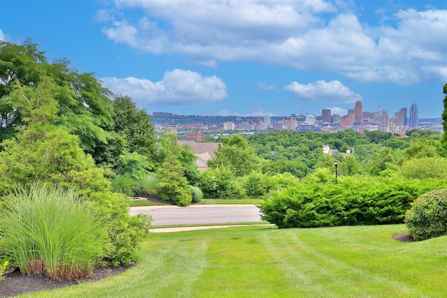 view of yard with a city view