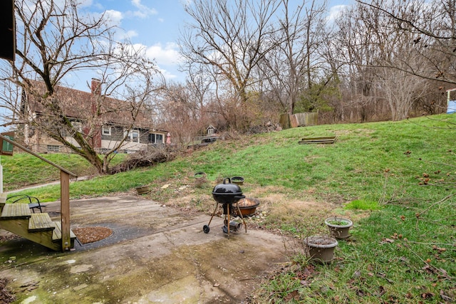 view of yard featuring a patio area