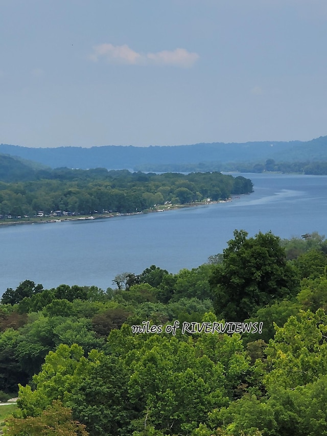 property view of water with a forest view