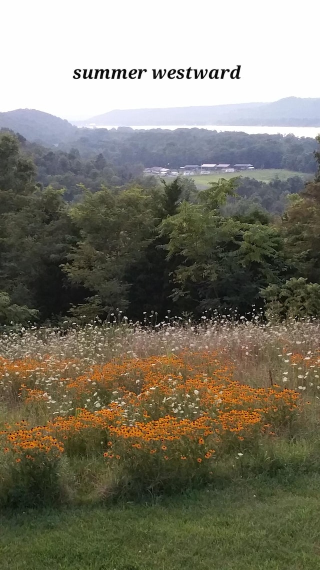 mountain view featuring a wooded view