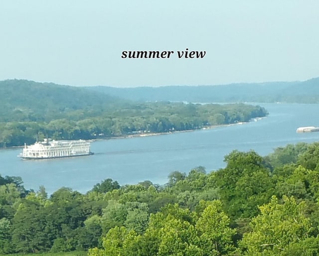 water view with a wooded view