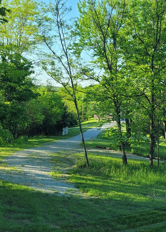 5433 Mary Ingles Hwy, Foster, KY 41043 - surrounding community