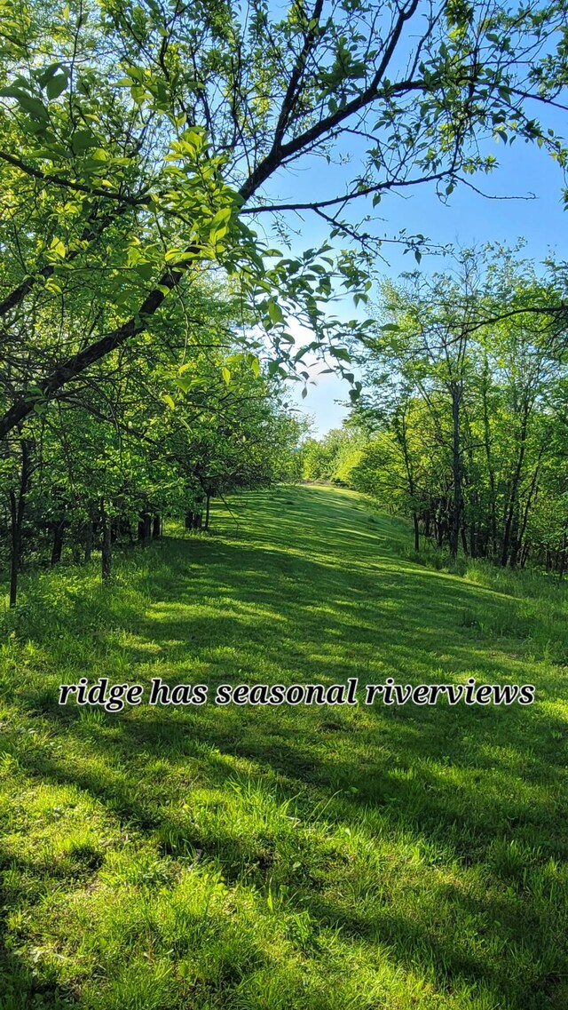 5433 Mary Ingles Hwy, Foster, KY 41043 - view of home's community featuring a yard