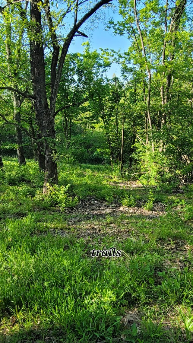 5433 Mary Ingles Hwy, Foster, KY 41043 - view of undeveloped land