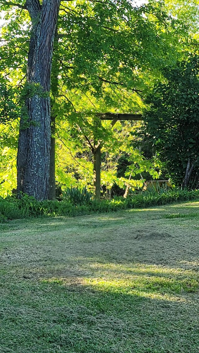 5433 Mary Ingles Hwy, Foster, KY 41043 - view of yard